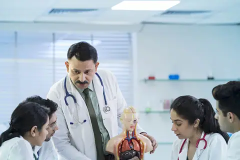 A teacher pointing out organs on an anatomical model while students watch