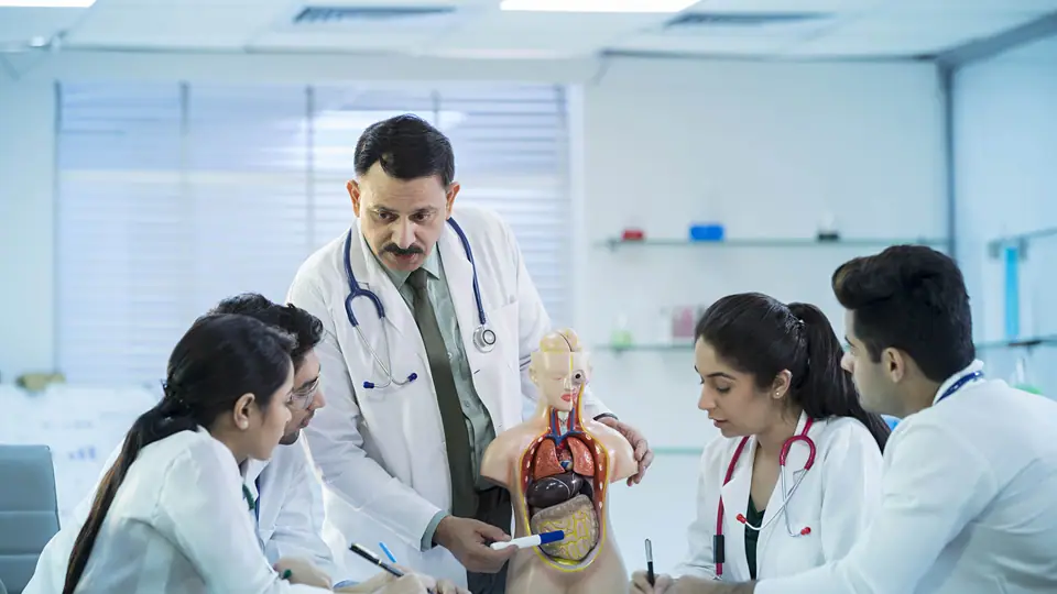 A teacher pointing out organs on an anatomical model while students watch